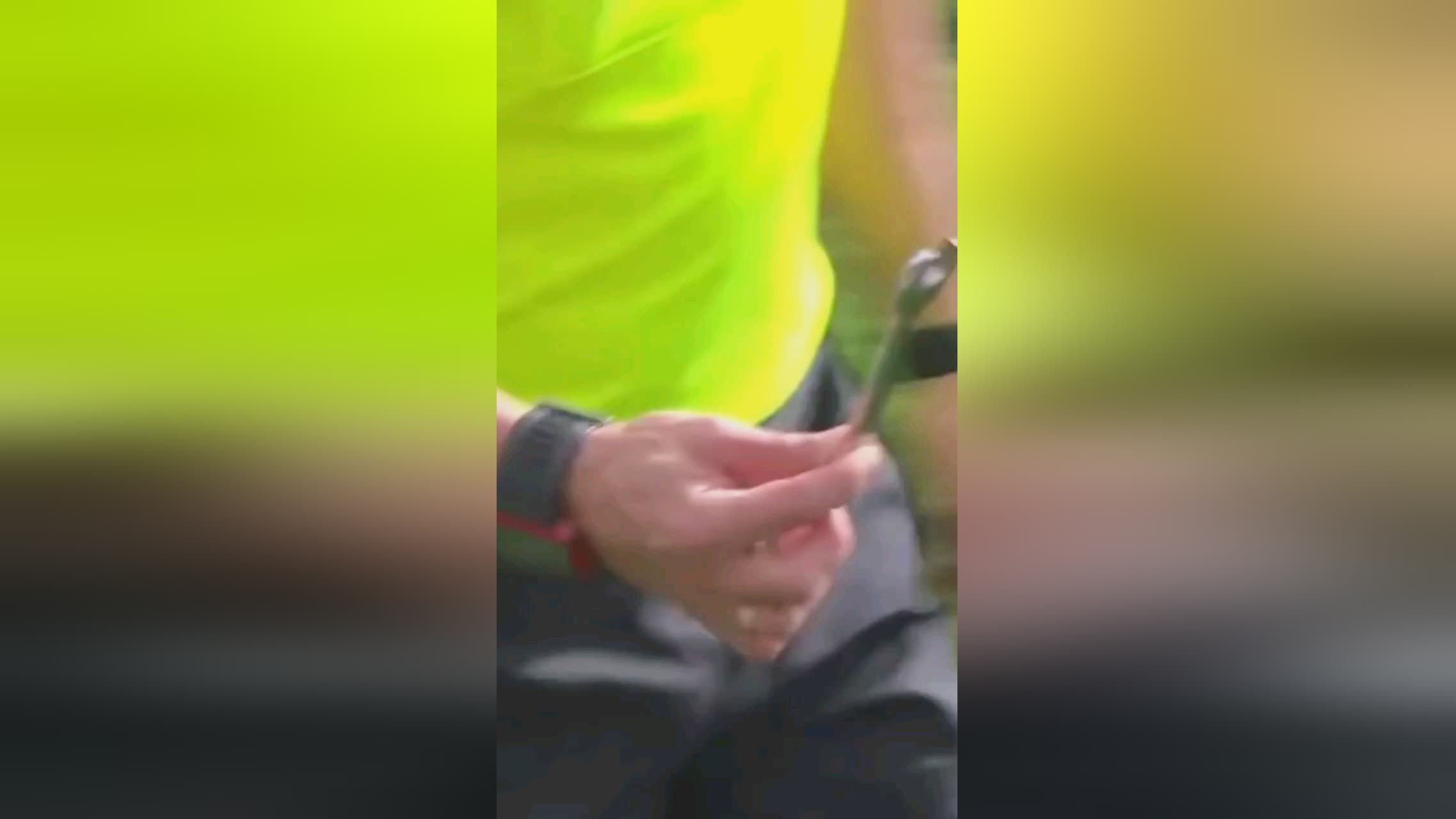 拜仁